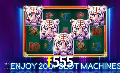 Exclusive Offers f555